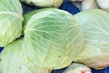 Fototapeta premium cabbage at the market
