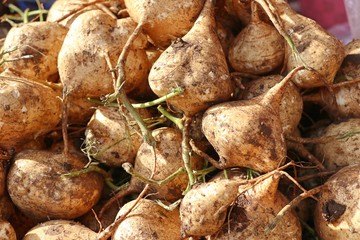 Mexican yam at street food