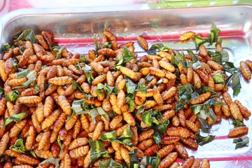 Fried insect at street food