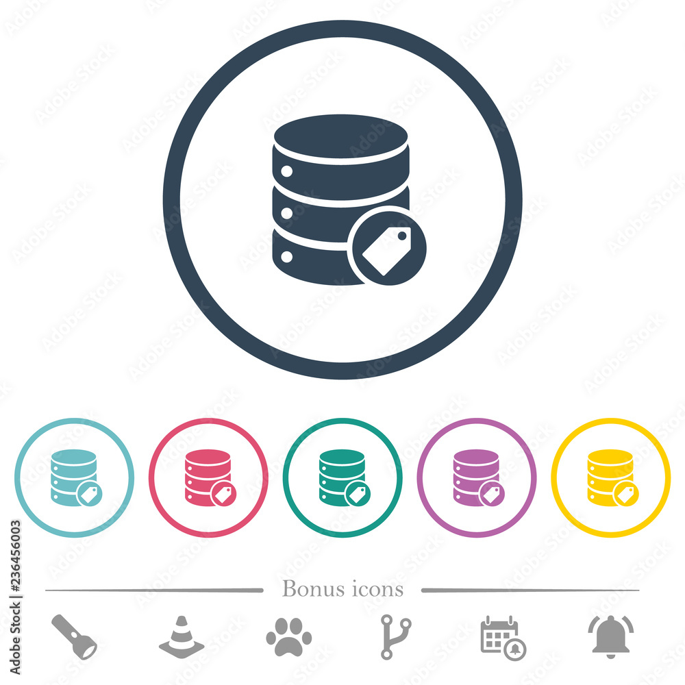Poster database tag flat color icons in round outlines