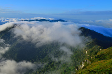 Natural landscape view with mists sea at sunrise. Mists in the cove. Mountain of fog, sun and win.