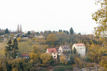 Naklejka premium Blick über den Hügel nach Meißen