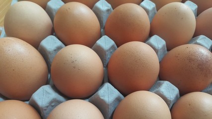 Fresh farm chicken eggs in an egg-carton or egg holder placed in market for sale