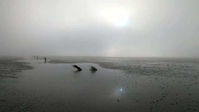 Wattenmeer, Rippelmarken, Ebbe