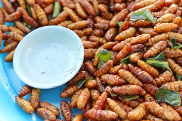 Fried insect at street food