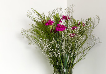 White flowers and fuchsia .flowers in white corner.