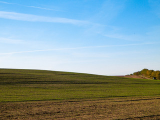 Landscape of green field on blue sky background. Copy space.