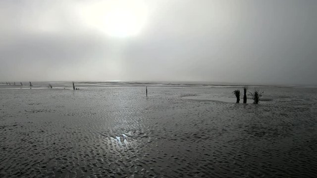 Wattenmeer, Rippelmarken, Ebbe, Schwenk
