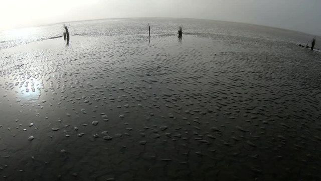 Wattenmeer, Rippelmarken, Schwenk, Ebbe
