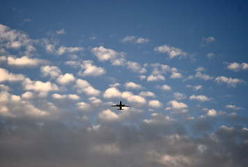 avion
