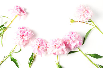 beautiful composition of peonies on a white background. flat lay, top view, creative layout