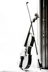 Violin with sheet music and flowers the front of the fiddle on windows background.