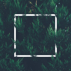 Natural green plant pattern background with white square frame post.