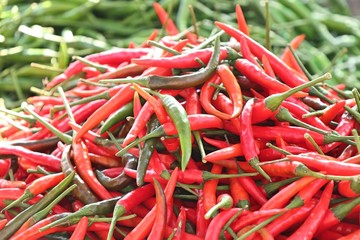 Fresh chilli at market