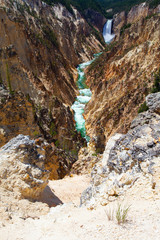 Fototapeta na wymiar The Lower Falls in Yellowstone National Park