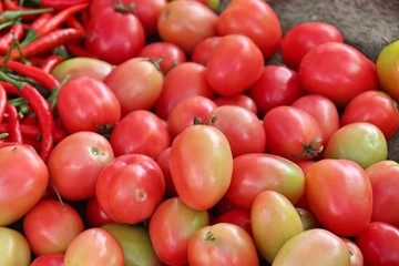 Fresh tomatoes in market.