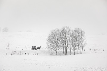 Amish buggy travels a country road in upstate New York during a snow storm.