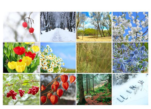 Twelve colored images of nature for calendar