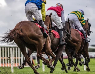 Photo sur Plexiglas Léquitation horse racing details of galloping horses racing towards the finish line