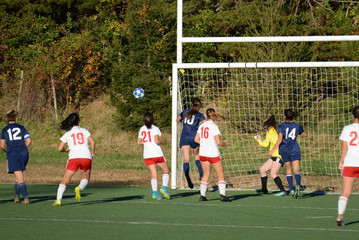 Obraz premium Shot misses the goal