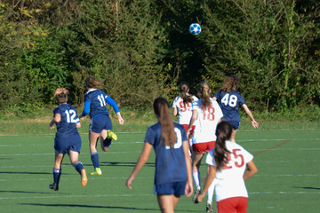 Obraz premium Two soccer teams run after the ball