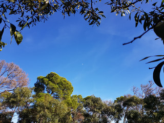 Paesaggio