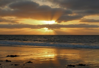 Naklejka na ściany i meble Sunset at Torrance Beach, South Bay of Los Angeles, Southern California