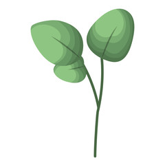 branch with leafs isolated icon