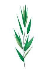 branch with leafs isolated icon