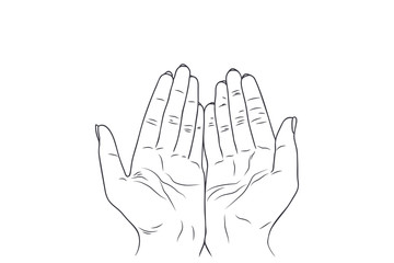 Sketch illustration - women's hands.