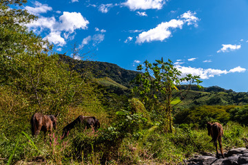 landscape of Guatemalan mountains and river