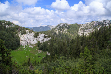 Obraz premium Northern Velebit National Park, Croatia