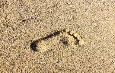 Human footprints on sand background. Close up of the footprint in the sand footprint in the beach Footprints in the sand at sunset