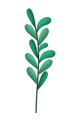 branch with leafs isolated icon