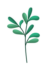 branch with leafs isolated icon