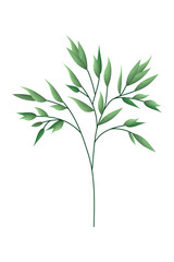 branch with leafs isolated icon