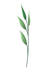 branch with leafs isolated icon