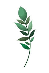 branch with leafs isolated icon