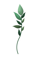 branch with leafs isolated icon