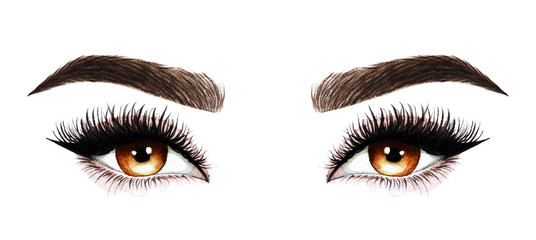 Woman eyes with long eyelashes. Hand drawn watercolor illustration. Eyelashes and eyebrows. Design for eyelash extensions, microblading, mascara, beauty salon, cosmetics, makeup artist. Brown eyes.
