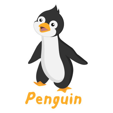 Illustration of a cute penguin on white background