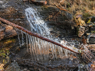 A branch fallen near a mountain stream with ice stalactite formations.