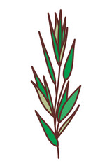 branch with leafs isolated icon