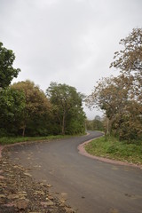 Fototapeta na wymiar way to Janapav hills, Indore
