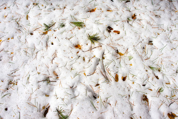 Natural winter texture