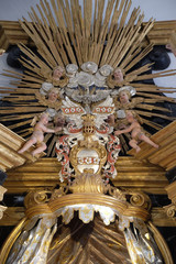 Holy Spirit Bird, Virgin Mary altar in the Neumunster Collegiate Church in Wurzburg, Germany