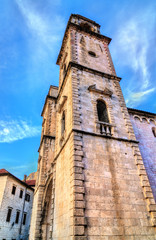 Fototapeta na wymiar The Cathedral of Saint Tryphon in Kotor, Montenegro