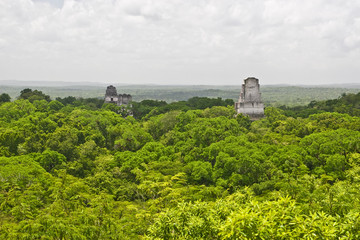 Aerial view over jungle around Mayan temples in Tikal, Guatemala, Central America 