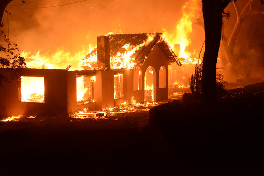 Wildland Fire