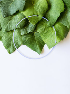 Leaves with Circle